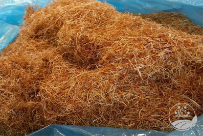 ریشه زعفران استثنایی فوری