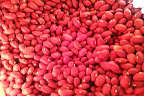 فروش نقدی و عمده لوبیا قرمز مرغوب